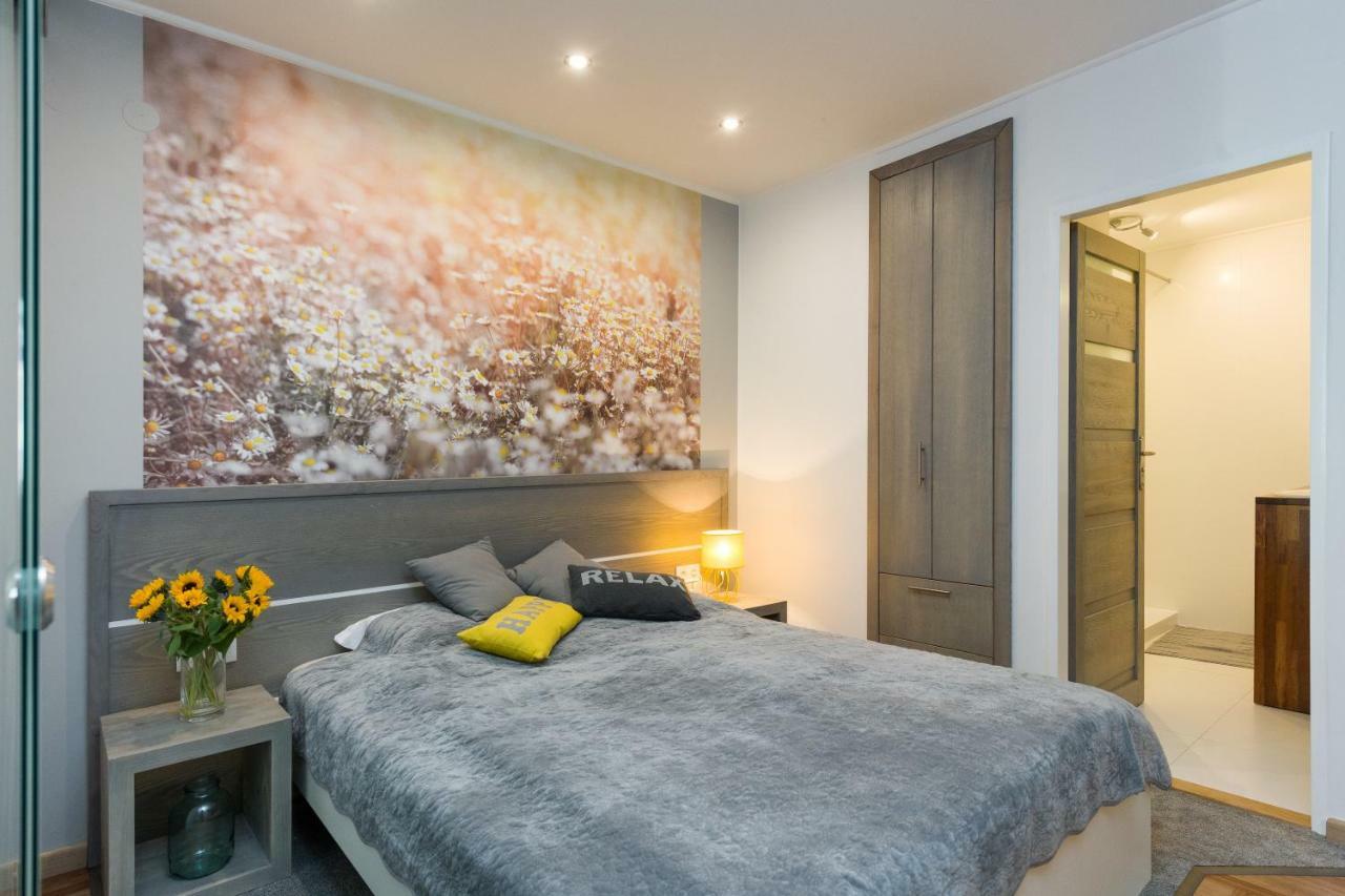 Sunflower Apartment 克拉科夫 外观 照片