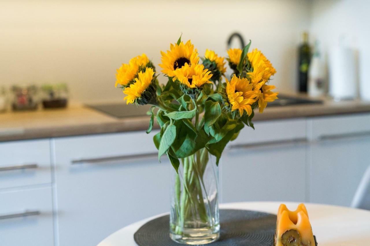 Sunflower Apartment 克拉科夫 外观 照片